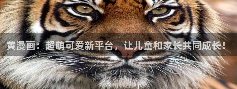 51漫画在线观看漫画免费无删减