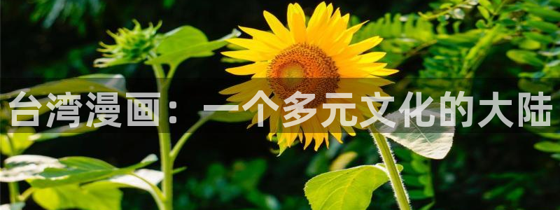 51漫画网站在线观看免费无删减漫画：台湾漫画：一个多元文化的大陆