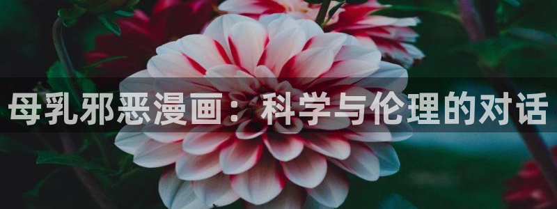 免费51漫画日漫在线观看