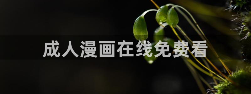 51漫画在哪儿看免费