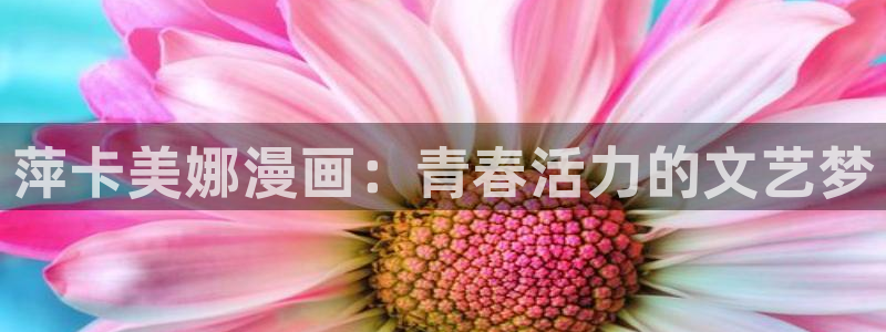 51漫画免费阅读在线观看漫画