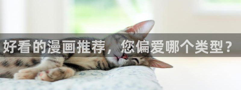 51漫画漫画免费观看漫画大全看漫画