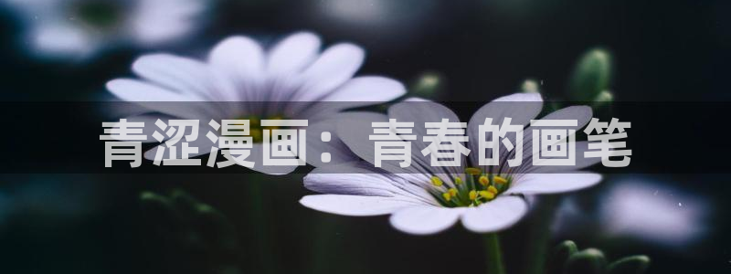 生肉51漫画在线观看