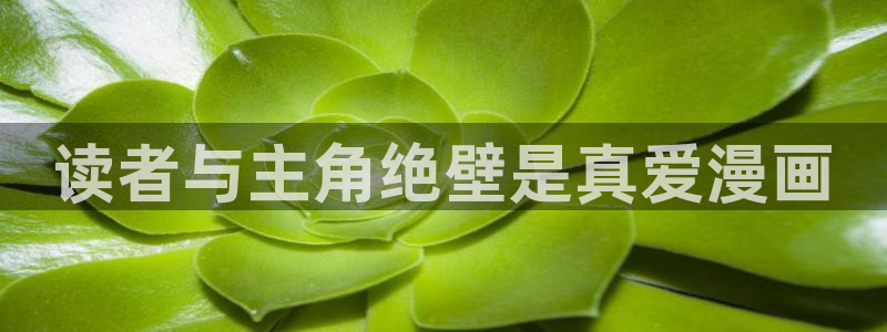 51漫画网在线阅读免费阅读