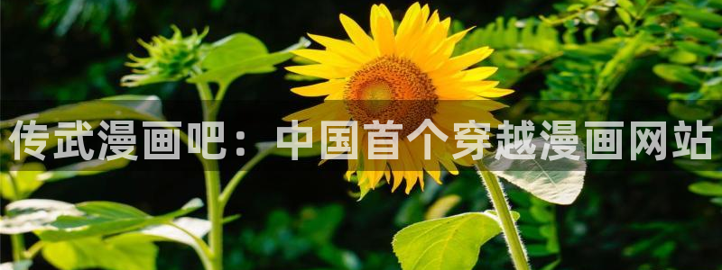 51漫画免费在线漫画网无删减