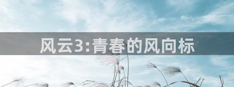 51漫画暴夜第二季漫画：风云3:青春的风向标