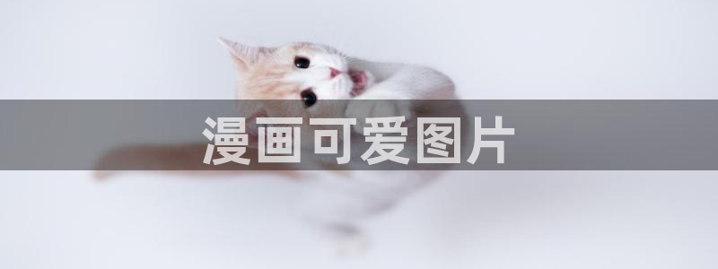 免费看51漫画下拉式：漫画可爱图片